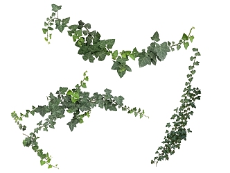 Green Plants HD Rattan 3d model