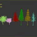 Assorted Trees Including Evergreens and Leafless One Arranged on Dark Surface 3d model