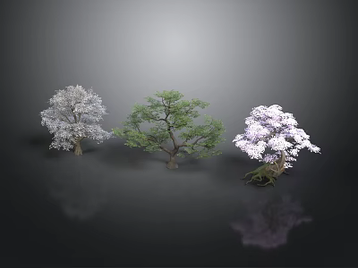 Three Decorative Trees White Green Purple with Foliage and Reflections on Dark Surface 3d model