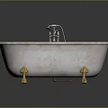 Elegant Marble Bathtub Interior With Golden Feet And Silver Faucet