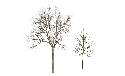 Modern Tree Dead Tree 3d model