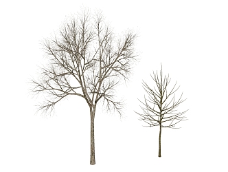 Modern Tree Dead Tree 3d model