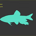 Vibrant Colorful Fish With Red Fins Blue Scales And Yellow Tail On Dark Background