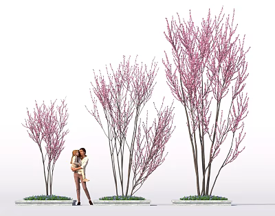 Tall Flowering Shrubs With Pink Blossoms And Couple Standing Near Garden Landscape 3d model