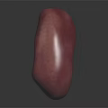3D Rendered Organ in Pink Color with Irregular Shape on Dark Background