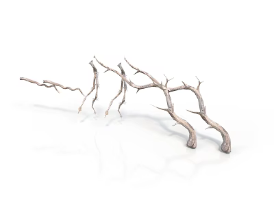 Dry Tree Branches With Twisted Bare Limbs On White Background 3d model