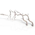 Dry Tree Branches With Twisted Bare Limbs On White Background 3d model