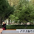 Outdoor Bench in Park with Lush Green Trees and Natural Foliage for Relaxing Seating