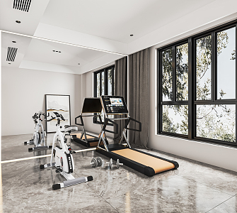 Modern Gym Home Gym Basement Video Room Sofa Treadmill Bicycle Tea Table Tea Cabinet 3d model