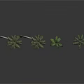 Four Palm Trees Of Various Sizes Against White Background