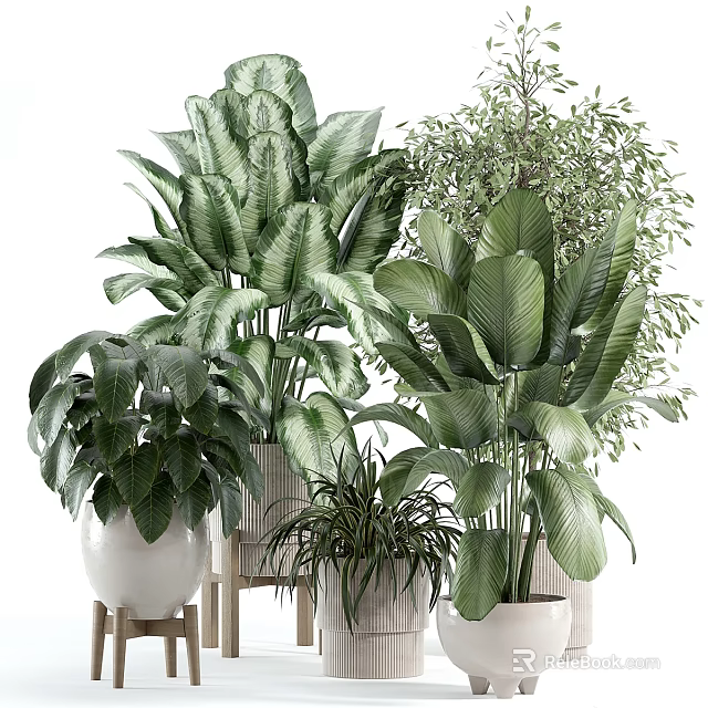 Assorted Green Leafy Plants in Decorative Vases for Indoor Decoration 3d model 