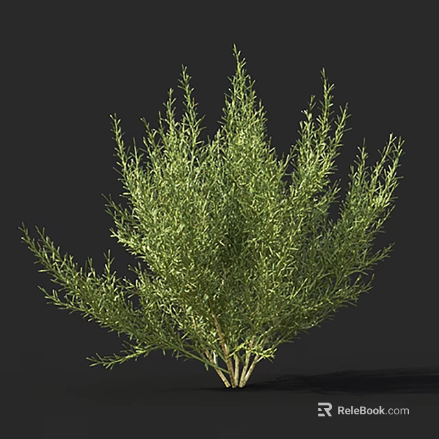 Green Bush With Lush Foliage And Dense Branch Structure In Natural Form 3d model 