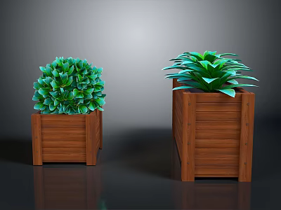 Round And Spreading Green Leafy Plants In Wooden Planters For Home Decor 3d model