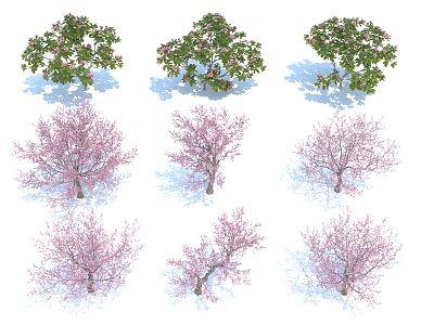 Various Arbor Trees With Pink Blossoms Green Leaves And Bare Branches 3d model