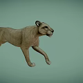 Game and Movie Character 3D Lion Model with Wireframe Design and Realistic Features
