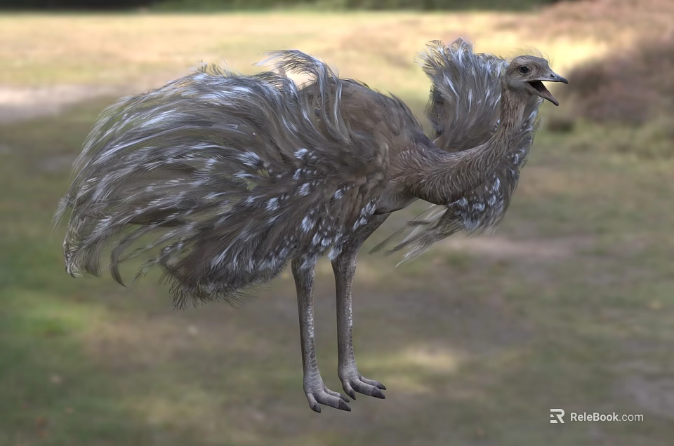 Fluffy Feathered Ostrich Standing On Grassland With Long Legs And Open Beak 3d model 