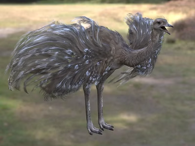 Fluffy Feathered Ostrich Standing On Grassland With Long Legs And Open Beak 3d model