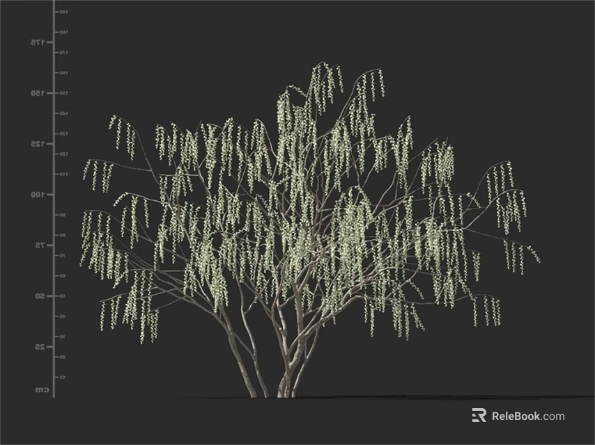 Weeping Willow Tree With Long Hanging Branches And Green Foliage Appearance 3d model 