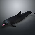Black Whale With Open Mouth And Sharp Teeth 3D Rendered On Gray Background