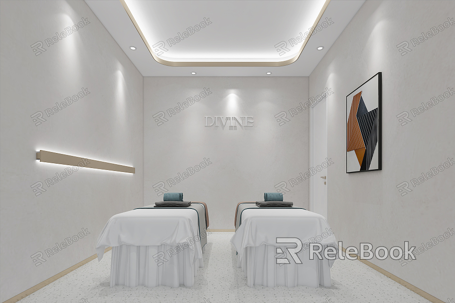 Modern Spa Beauty Salon Double Room model