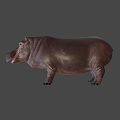 Realistic Hippopotamus 3D Character Model for Game and Film Projects