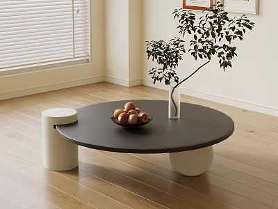 Round Black Minimalist Coffee Table With Fruit Bowl White Vase Green Plant In Light Room 3d model