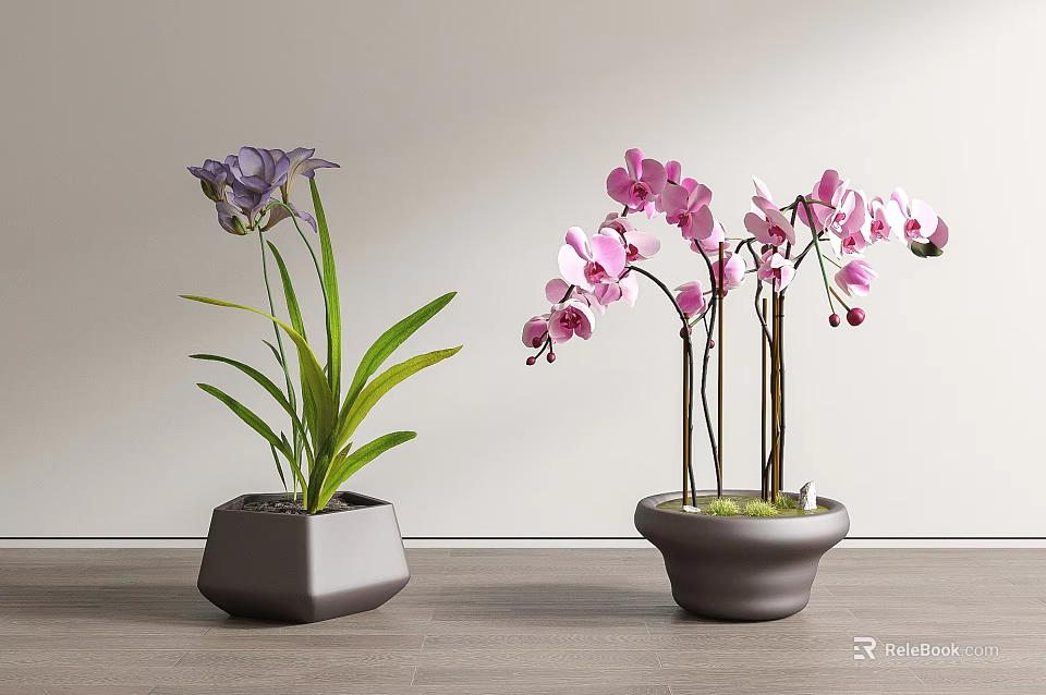 Purple and Pink Orchid Bonsai in Gray Pots on Wooden Floor with Light Wall 3d model 
