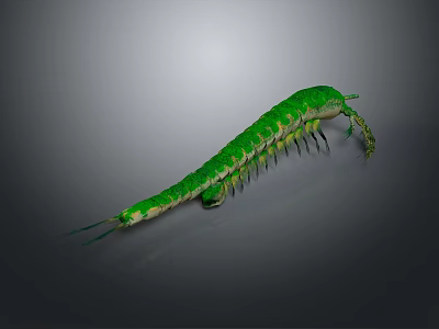Green Centipede with Long Segmented Body and Numerous Legs on Dark Background 3d model