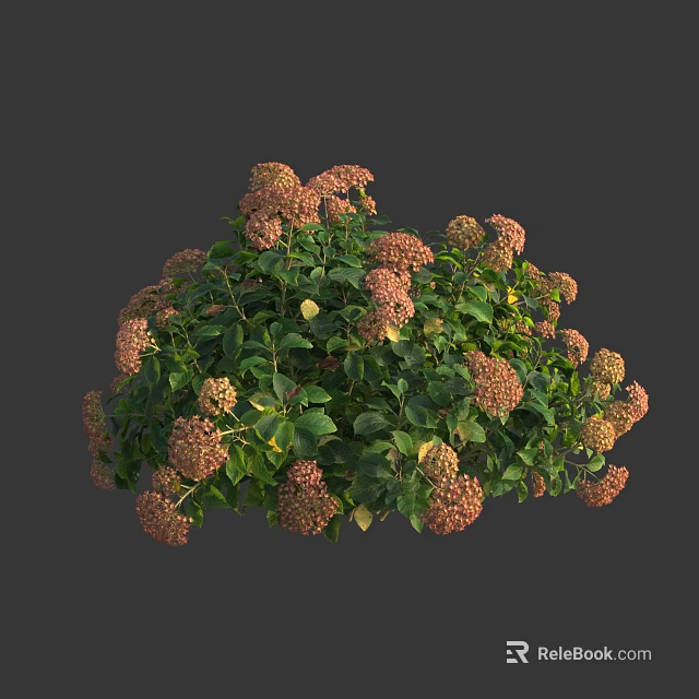 Lush Pink Flower Bush With Green Leaves And Round Growth Shape 3d model 