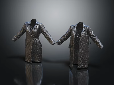 Two Silver Quilted Coats Display With Open Sleeves And Shiny Fabric Texture 3d model