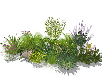 Colorful Flowers and Assorted Plants with Purple Pink Yellow Blooms and Green Foliage 3d model