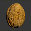 Whole Golden Brown Walnut with Textured Shell Natural Healthy Nut Snack Option