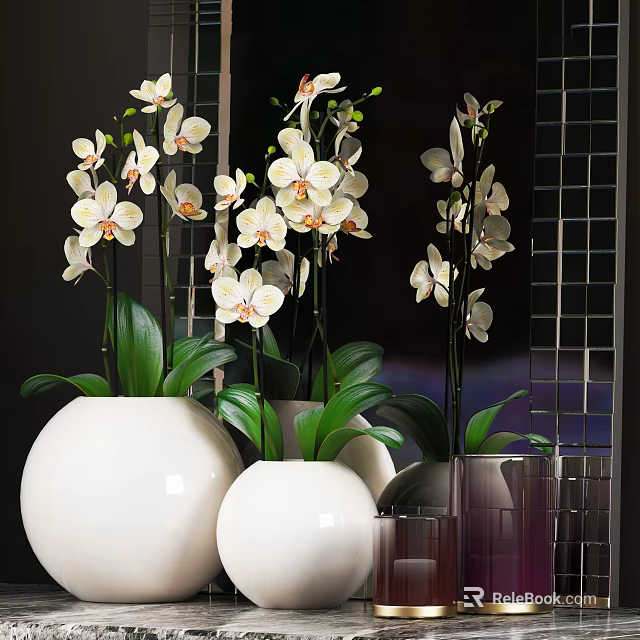 Beautiful Orchid Bonsai Potted Plants In White Ceramic Pots With Green Leaves 3d model 