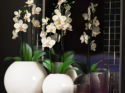 Beautiful Orchid Bonsai Potted Plants In White Ceramic Pots With Green Leaves 3d model
