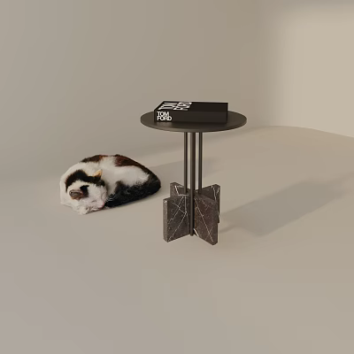 Minimalist Side Table With Black Tabletop Geometric Marble Stand And Sleeping Cat Nearby 3d model