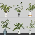 Decorative Green Plants Arranged in Various Vases on White Shelf Against White Wall