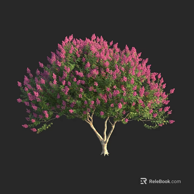 Vibrant Shrub with Pink Flowers Green Leaves and White Branches on Black Background 3d model 