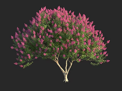 Vibrant Shrub with Pink Flowers Green Leaves and White Branches on Black Background 3d model