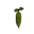 Natural Fresh Green Leafy Radish With White And Green Root Vegetable