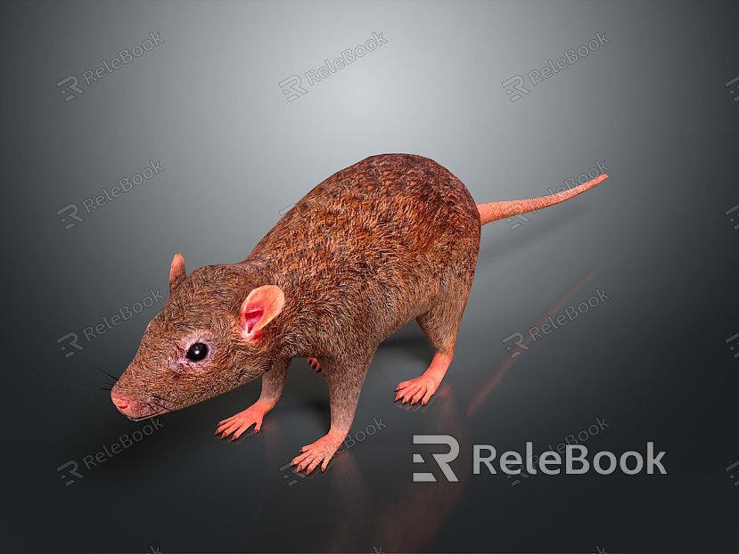 Cartoon Mouse Animated Mouse Mouse Mouse Mouse Mouse Grey Mouse Anime Mouse Cartoon Character model