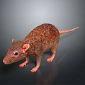 Cartoon Mouse Animated Mouse Grey Mouse Anime Mouse Cartoon Character 3d model
