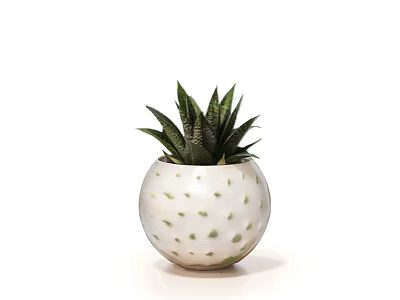 White Ceramic Pot With Green Spots Round Shape For Aloe Vera Plant 3d model