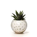 White Ceramic Pot With Green Spots Round Shape For Aloe Vera Plant
