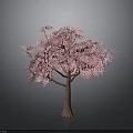 Vibrant Pink Flowering Tree with Brown Trunk and Gray Background