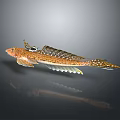 Brown and White Spotted Fish with Unique Fins Swimming in Gray Background with Reflection Below