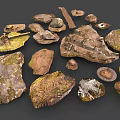 Wood and Stone Natural Materials Featuring Moss Covered Surfaces and Various Shapes