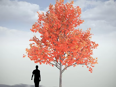 Tall Red Leaf Arbor With Human Silhouette Under Blue Sky And Clouds 3d model