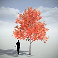 Tall Red Leaf Arbor With Human Silhouette Under Blue Sky And Clouds