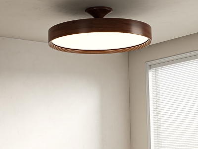 Modern Middle Aged Ceiling Lamp model