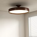 Modern Middle Aged Ceiling Lamp 3d model